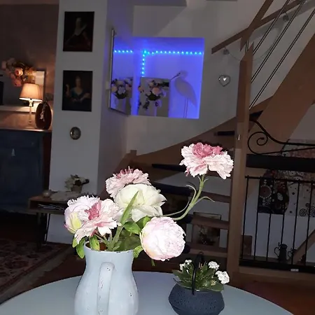 Semesterbostad La Maison Des Mirabelles Bussang